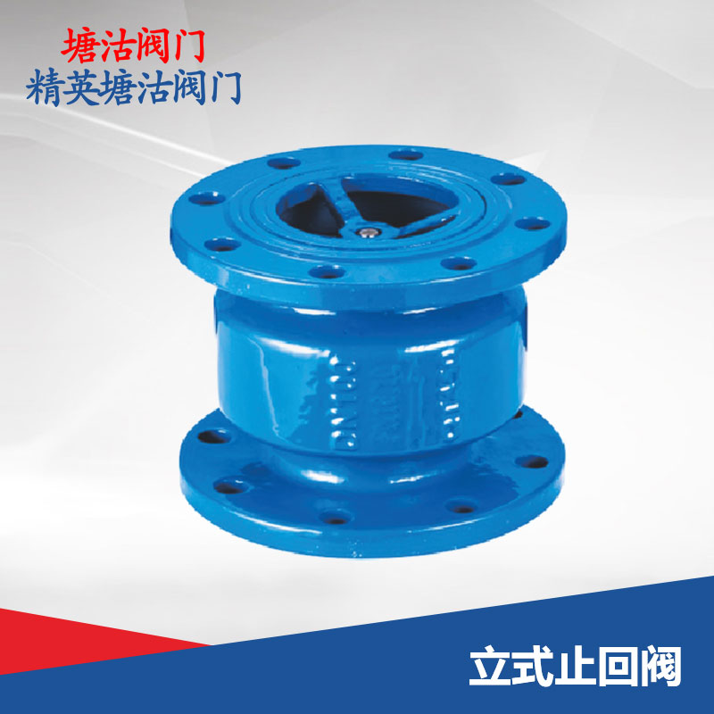 立式止回閥